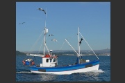 A vessel engaged in fishing "other than trawling"