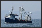 A vessel engaged in trawling