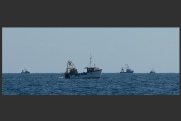 Vessels in proximity engaged in trawling