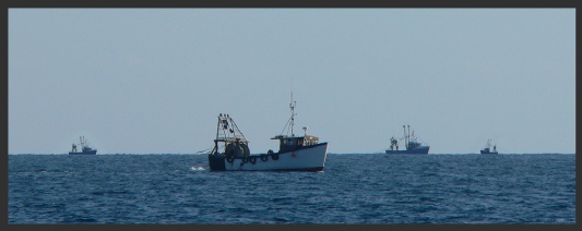 A fleet of vessels fishing in proximity