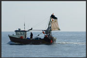 A fishing vessel - a factor to be considered in safe speed