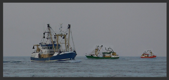 A fleet of vessels fishing in proximity